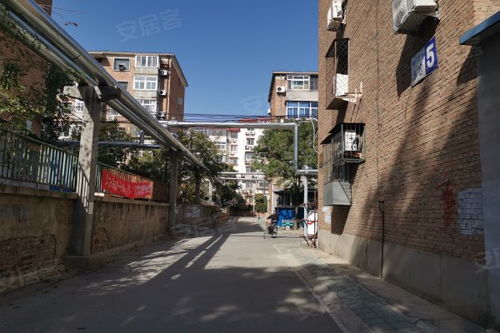 南廠住宅東區(qū)居住體驗全解析 優(yōu)缺點、現(xiàn)狀與周邊中介評價